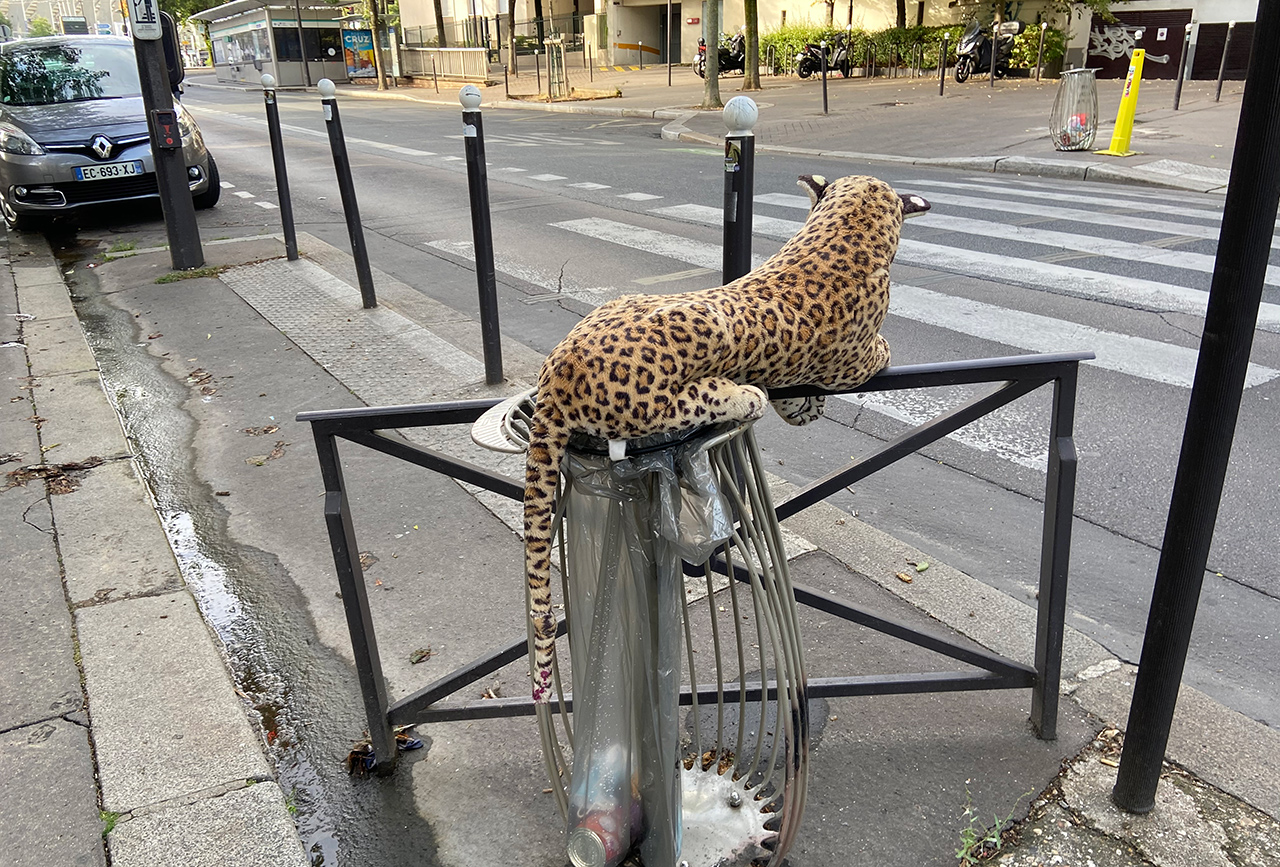 Assis sur une poubelle de ville, un léopard (en peluche, mais que l'on prend pour un vrai) regarde la rue