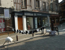 photo grep 1 harfleur 1280 867 moinsde500ko