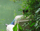 grep brasde 1280 867 moinsde500ko