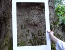 grep brasde 1280 867 moinsde500ko