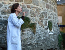 grep mayenne 1280 867 moinsde500ko