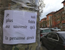 photo larbrequicachelaforet e drouin