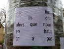 photo larbrequicachelaforet e drouin