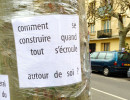 photo larbrequicachelaforet e drouin