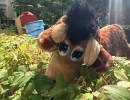 girafe regard e drouin 1280 moinsde500ko