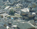 lamontagne 1280 867 n dona