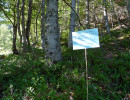 lamontagne 1280 867 n dona