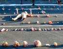 photo tragedieunpoeme 1280 867 moinsde500ko
